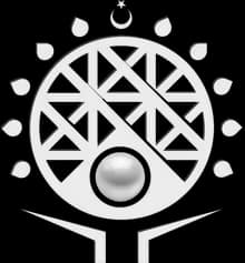 Turkish Plastic Surgery